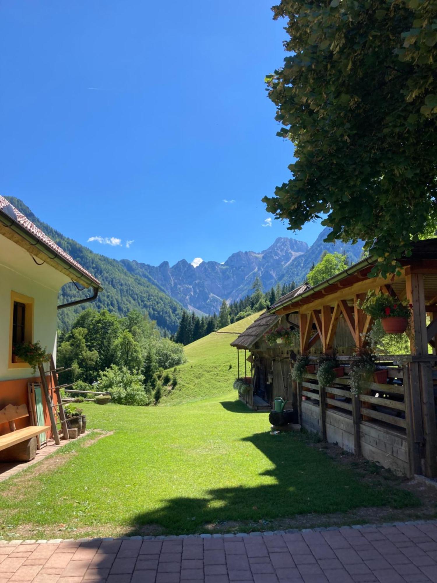 SolčavaTourist Farm Gradisnikアパートメント エクステリア 写真
