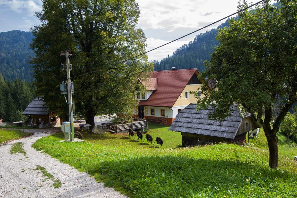 SolčavaTourist Farm Gradisnikアパートメント エクステリア 写真