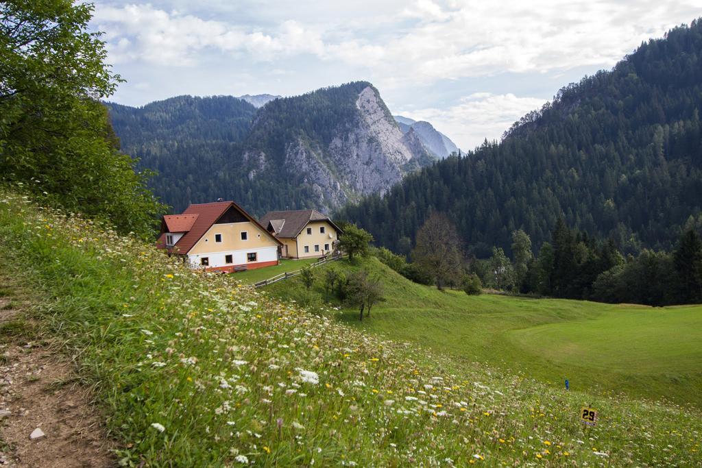 SolčavaTourist Farm Gradisnikアパートメント エクステリア 写真