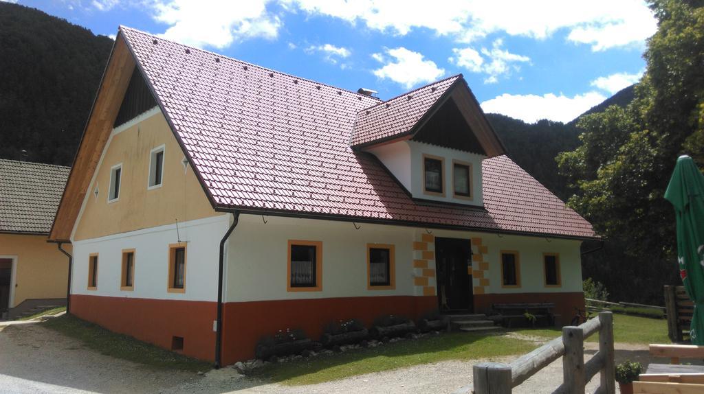 SolčavaTourist Farm Gradisnikアパートメント エクステリア 写真